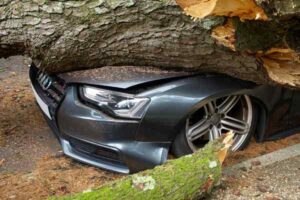 Comprehensive Car Insurance: Coverage for Non-Crash Damage